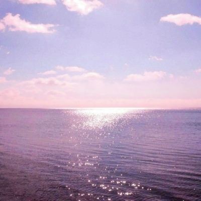 火狐体育下载app下载手机版