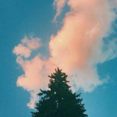 皇冠体育app正版下载