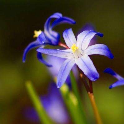 千亿国际app下载