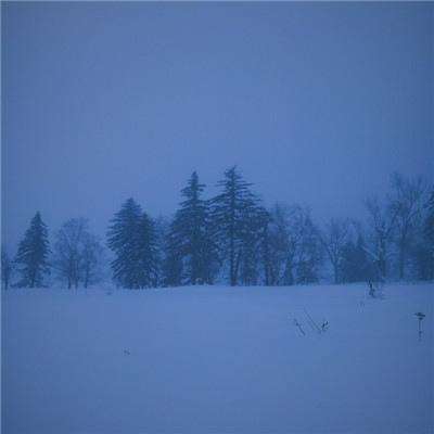 金沙集团186cc成色