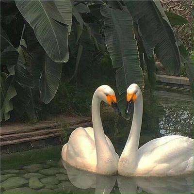 万博客户端app下载