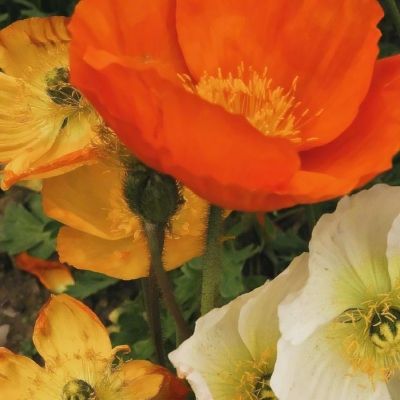 星空体育APP下载手机版