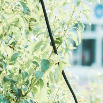 澳门天天免费资料大全下载下载手机版截图