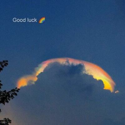 熊猫娱乐app下载手机版