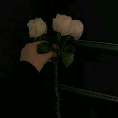 火狐体育下载app下载手机版